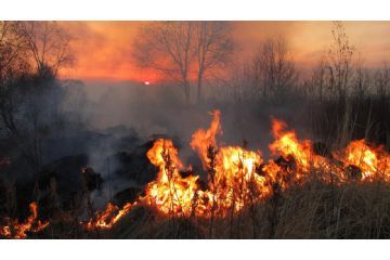 Dichiarazione stato di massima pericolosit&#224; per gli incendi boschivi su tutto il territorio regionale del Piemonte a partire dal giorno 21 LUGLIO 2022